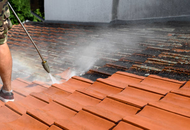 Best Residential Pressure Washing Services  in Versailles, PA