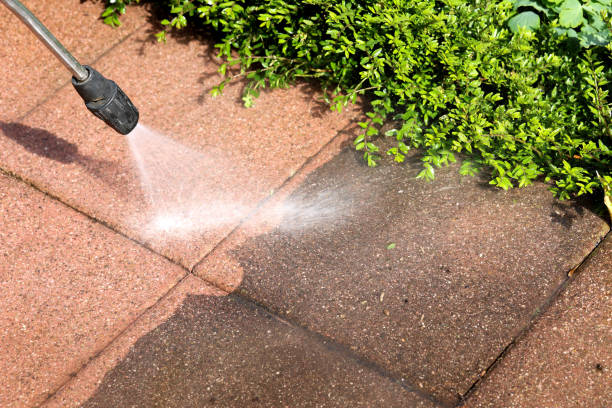 Best Roof Pressure Washing  in Versailles, PA