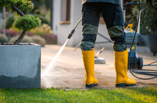 Best Local Pressure Washing Services  in Versailles, PA